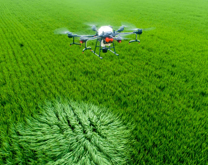 ΢Žͼ_20250214151450