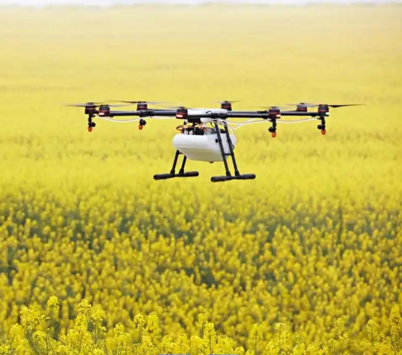 ΢Žͼ_20250214152112