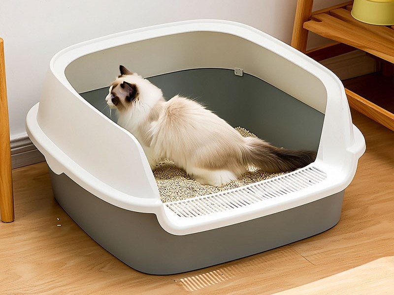 大号猫砂盆注塑 大号猫砂盆注塑