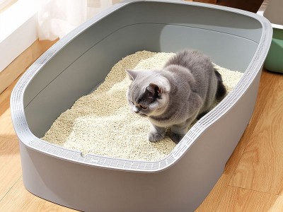 大号猫砂盆注塑 大号猫砂盆注塑